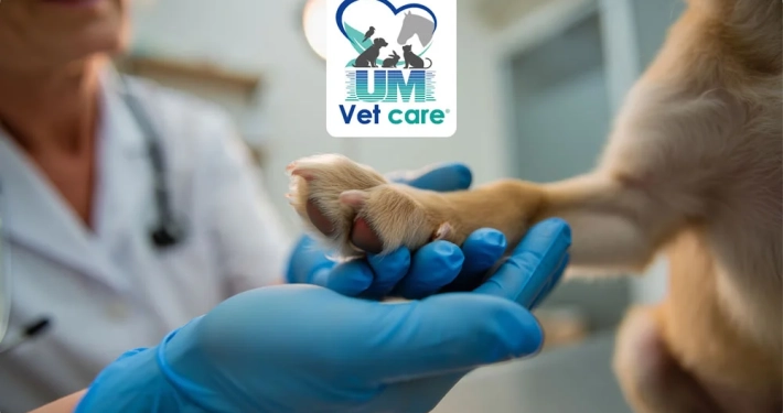 Union Medical