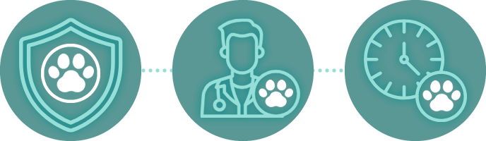 Clínicas veterinarias, humanización de mascotas