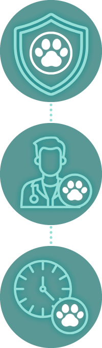 Clínicas veterinarias, humanización de mascotas