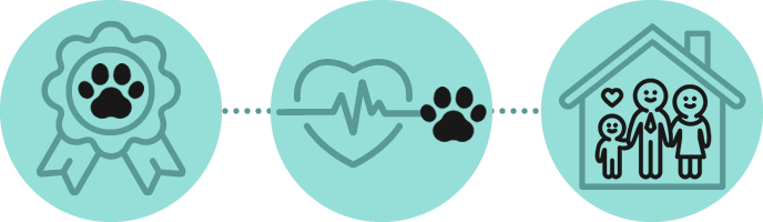 Propuesta de valor veterinarios