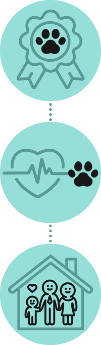 Propuesta de valor veterinarios